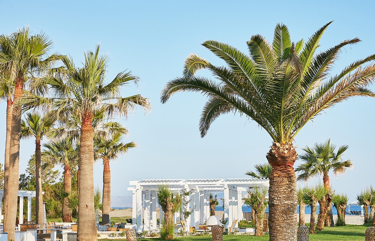 03-palm-trees-on-the-green-garden-of-grecotel-creta-palace-in-crete-33850.jpg